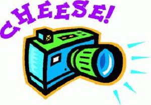 Cheese 